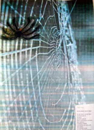 klik om terug naar het overzicht te gaan